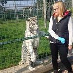 Sandy Usher - @sandy.usher - Instagram