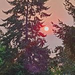Sandy Usher - @sandyumoa - Instagram