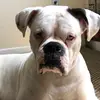 user6538992456797 - @sandyusher - TikTok