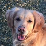 Sandy Utley - @sandpiper16 - Instagram