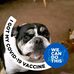 Sandy Utley - Facebook