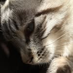 Sandy Vance - @mandu_kathmandu - Instagram