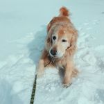 Sandy - @sandy_vandyke - Instagram