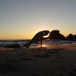 Sandy M Van Horn - @sandymvanhorn - Instagram