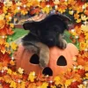 Sandy - @sandyvanhorn0 - TikTok