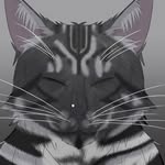 Sandy Van Horn - @sandy_van_horn_ - Instagram