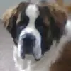 Sandy Van Horn - @user7289918351164 - TikTok