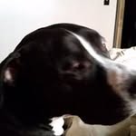 Sandy Vanhorn - @vanhorn.sandy - Instagram