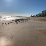 Sandy VanHorn - @retirednana71 - Instagram