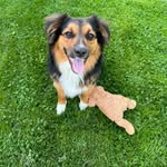 Sandra Cavey VanMeter - @huntlog43 - Instagram