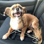 Sandy Varner - @varners621 - Instagram