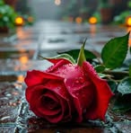 Sandy Vazquez - Facebook