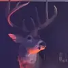 Sandy - @sandyvernon996 - TikTok