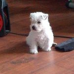 Sandy Vickers - @sandysmsn - Instagram