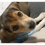 Sandy Vogt - @sandyvogt - Instagram
