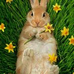 sandy wagers - @sandy_wagers - Instagram