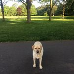 Sandy Walker - @sandypopswalker - Instagram
