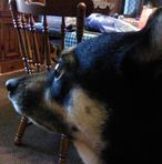 Sandy Walls - Facebook