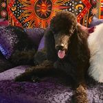Sandy Warren - @sandy.warren.g - Instagram