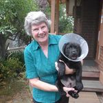 Sandy Warren - @sandywarren - Instagram
