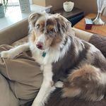 Sandy Warren - @sandy.warren3 - Instagram