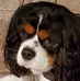 Sandy Weiss - Facebook