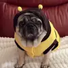 sandywelsh4🏴󠁧󠁢󠁷󠁬󠁳󠁿 - @sandywelsh4 - TikTok