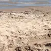 sandywelsh - @sandywelsh - TikTok