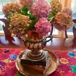 Sandra Westbrook Skoog - @texskoog - Instagram