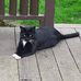Sandy Westbrook - Facebook