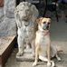 Sandy Westbrook - Facebook