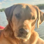 Sandy Westbrook Fladeland - @sandyfladeland - Instagram
