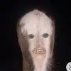 sandywheat - @sandywheat6 - TikTok
