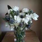 Sandy Wheeler - @sandywheeler676 - Instagram