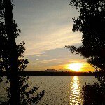 Sandy Wheeler - @skwheel - Instagram