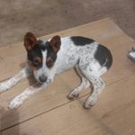 sandy wheeler - @sandy_wheeler123456789 - Instagram