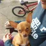 Sandy Wheeler - @sandy.wheeler.75491 - Instagram