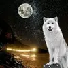 wolfmom - @sandywillis74 - TikTok