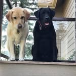 Sandy Willis - @sandywillis - Instagram