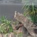 Sandy Willis - Facebook