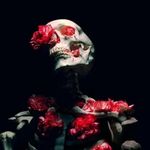 Sandy Winchester - @sandy_winchester - Instagram