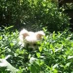 Sandy Winstead - Facebook