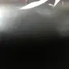 Sandy Wolfe - @sandy.wolfe3 - TikTok