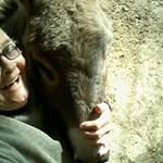 Sandy Wolfe - @sandy.wolfe.129 - Instagram