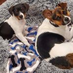 Sandy Wolfe - Facebook