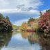 Sandy Yim - Facebook