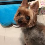 Sandyyim - @sandyyim1030 - Instagram