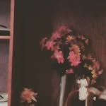 sandy zelaya - @sandyzela - Instagram