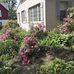 Sandy Zimmer - Facebook