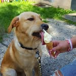 Sandy Zimmermann - @zimmi_sandy - Instagram